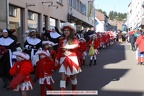 Rosenmontagsumzug 2011  4760