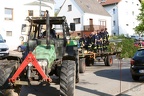 Maibaum stellen 2019 9866