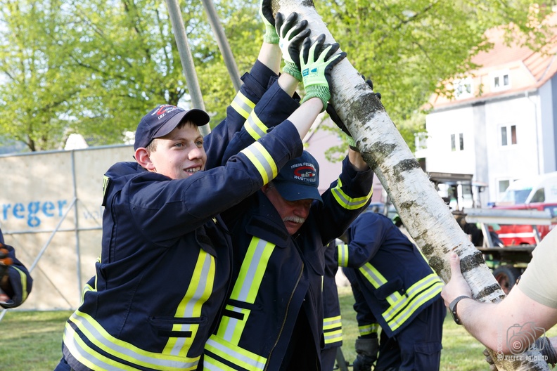 Maibaum stellen 2019 9911