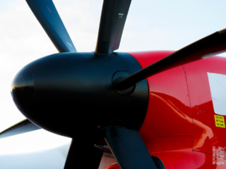 Flugfeld_9498