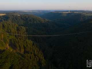 Hängeseilbrücke D