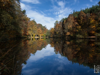 Pfälzer Wald_SpiegelSee_MG_8850