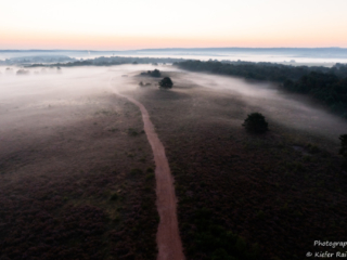 Mehlinger Heide_0242