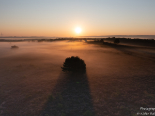 Mehlinger Heide_0271