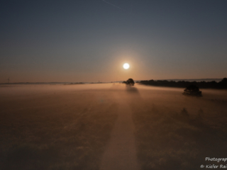 Mehlinger Heide_0277