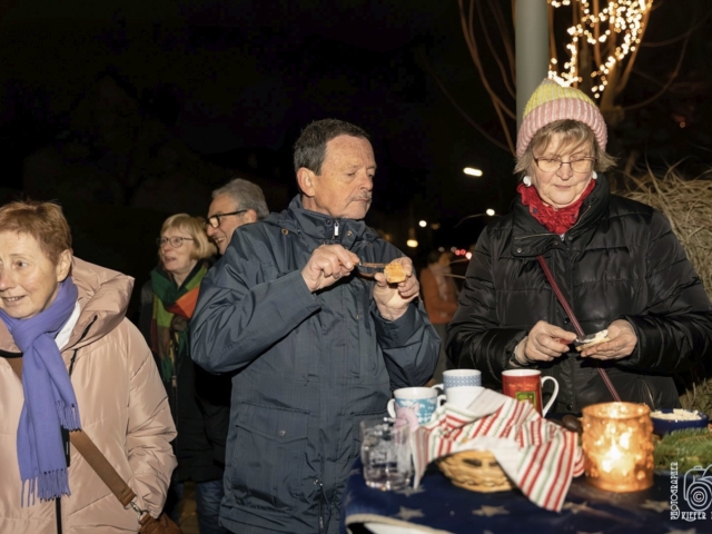 Weihnachtsfenster 16 - Illinger Stra&szlig;e