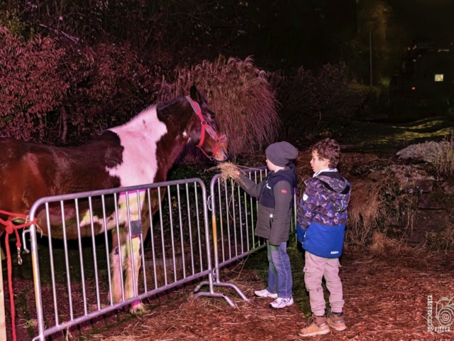 Weihnachtsfenster 20 - Alt School