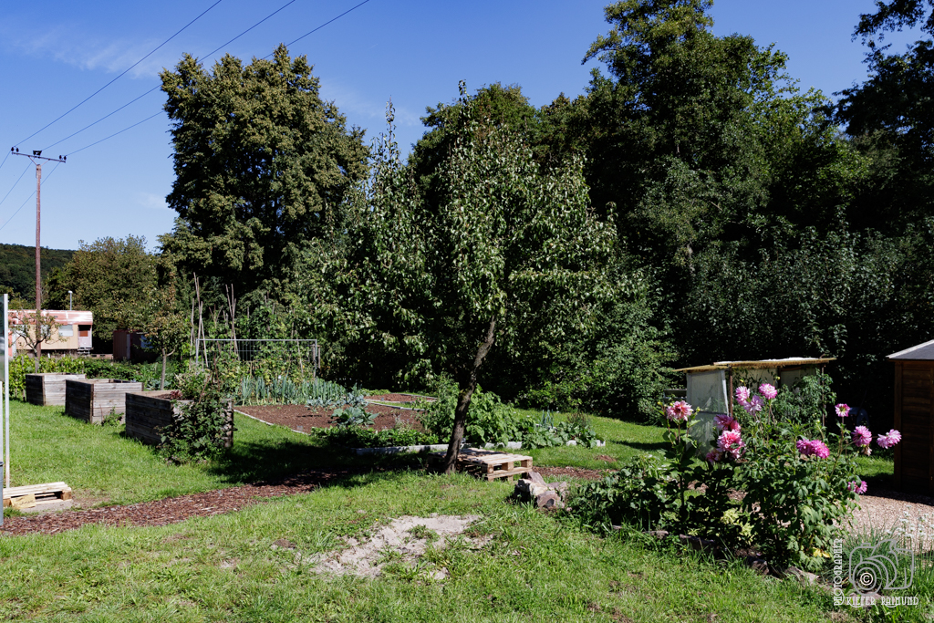Dorfgarten_2940